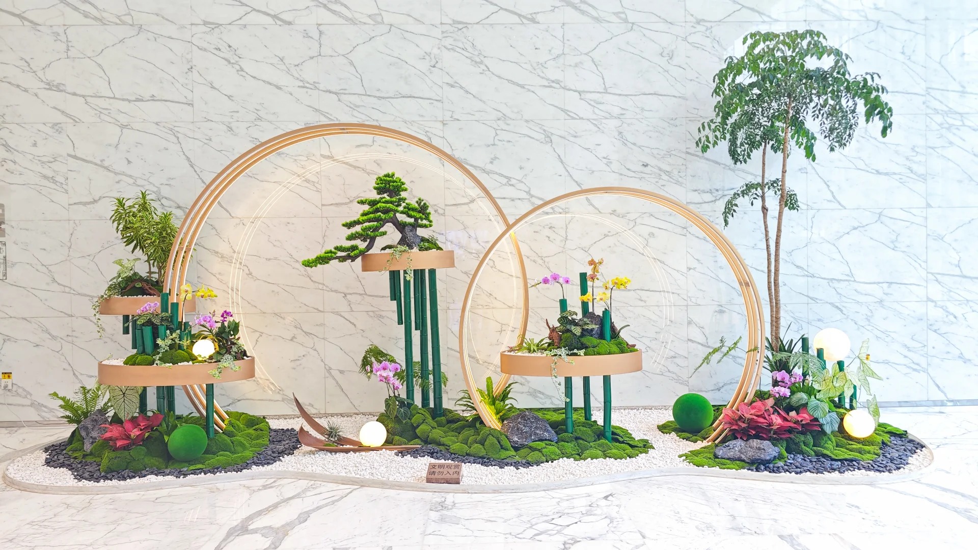 专业盆景出租在宁波前湾,营造别样氛围